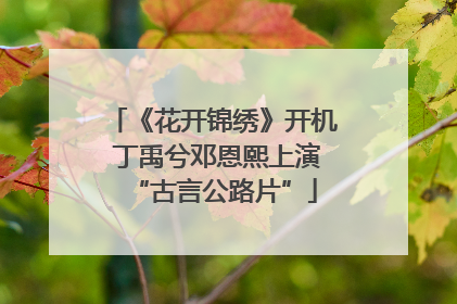 《花开锦绣》开机 丁禹兮邓恩熙上演“古言公路片”