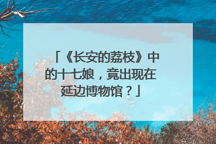 《长安的荔枝》中的十七娘，竟出现在延边博物馆？