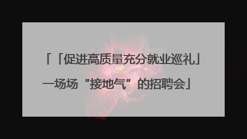 「促进高质量充分就业巡礼」一场场“接地气”的招聘会