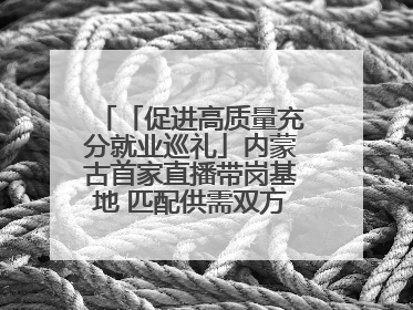 「促进高质量充分就业巡礼」内蒙古首家直播带岗基地 匹配供需双方 促进上岗就业