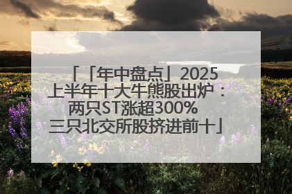 「年中盘点」2025上半年十大牛熊股出炉：两只ST涨超300% 三只北交所股挤进前十
