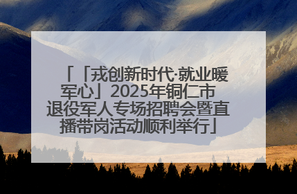 「戎创新时代·就业暖军心」2025年铜仁市退役军人专场招聘会暨直播带岗活动顺利举行