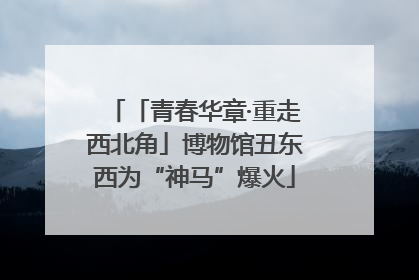 「青春华章·重走西北角」博物馆丑东西为“神马”爆火