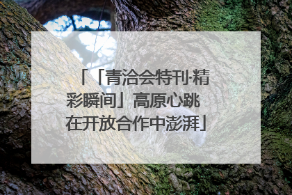 「青洽会特刊·精彩瞬间」高原心跳 在开放合作中澎湃