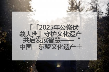 「2025年公祭伏羲大典」守护文化遗产 共启发展智慧——“中国—东盟文化遗产主题对话”侧记