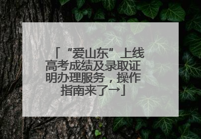 “爱山东”上线高考成绩及录取证明办理服务，操作指南来了→