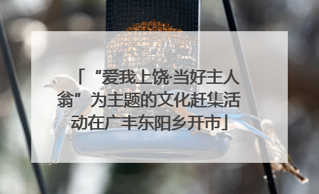 “爱我上饶·当好主人翁”为主题的文化赶集活动在广丰东阳乡开市