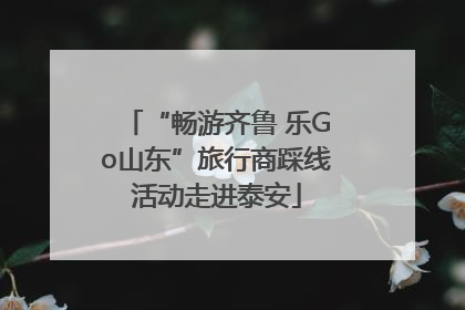 “畅游齐鲁 乐Go山东”旅行商踩线活动走进泰安