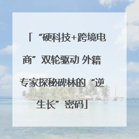 “硬科技+跨境电商”双轮驱动 外籍专家探秘碑林的“逆生长”密码
