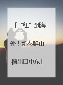 “红”到海外！新泰鲜山楂出口中东