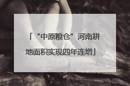 “中原粮仓”河南耕地面积实现四年连增