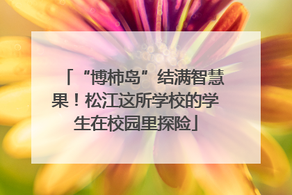 “博柿岛”结满智慧果！松江这所学校的学生在校园里探险