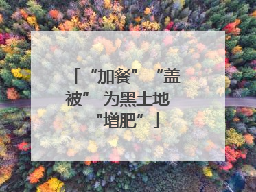 “加餐”“盖被” 为黑土地“增肥”