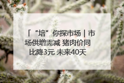 “培”你探市场｜市场供增需减 猪肉价同比降3元 未来40天便宜猪肉敞开吃