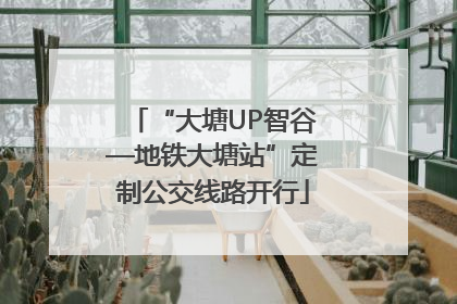 “大塘UP智谷—地铁大塘站”定制公交线路开行