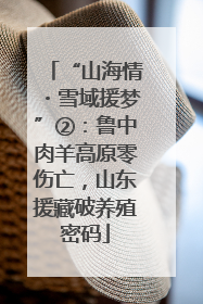 “山海情・雪域援梦”②：鲁中肉羊高原零伤亡，山东援藏破养殖密码