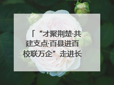 “才聚荆楚·共建支点·百县进百校联万企”走进长江大学文理学院