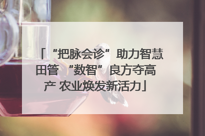 “把脉会诊”助力智慧田管 “数智”良方夺高产 农业焕发新活力