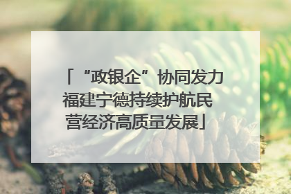 “政银企”协同发力 福建宁德持续护航民营经济高质量发展