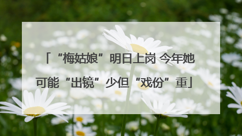 “梅姑娘”明日上岗 今年她可能“出镜”少但“戏份”重