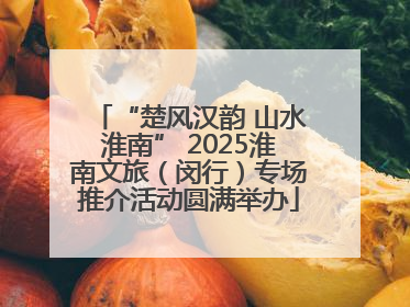 “楚风汉韵 山水淮南” 2025淮南文旅（闵行）专场推介活动圆满举办