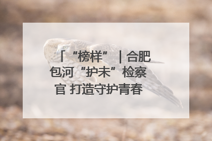 “榜样”｜合肥包河“护未”检察官 打造守护青春成长的永恒灯塔