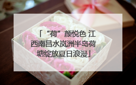 “荷”颜悦色 江西南昌水岚洲半岛荷塘绽放夏日浪漫