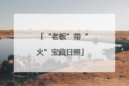 “老板”带“火”宝藏日照
