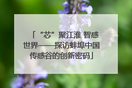 “芯”聚江淮 智感世界——探访蚌埠中国传感谷的创新密码