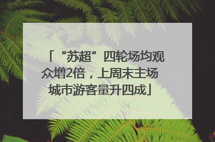 “苏超”四轮场均观众增2倍，上周末主场城市游客量升四成
