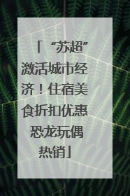 “苏超”激活城市经济！住宿美食折扣优惠 恐龙玩偶热销