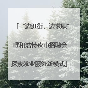 “边逛街、边求职” 呼和浩特夜市招聘会探索就业服务新模式