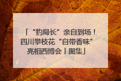 “豹局长”亲自到场！四川攀枝花“自带香味”亮相西博会丨图集