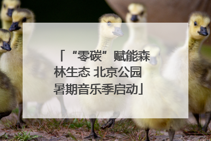 “零碳”赋能森林生态 北京公园暑期音乐季启动