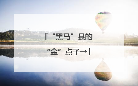 “黑马”县的“金”点子→