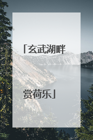 玄武湖畔赏荷乐