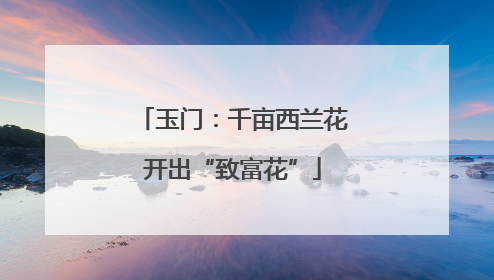 玉门：千亩西兰花开出“致富花”