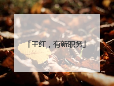 王红，有新职务