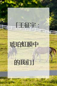 王征宇：琥珀虹膜中的我们