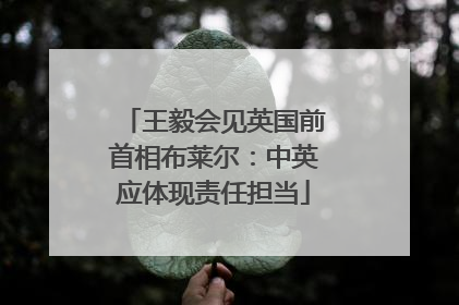 王毅会见英国前首相布莱尔：中英应体现责任担当