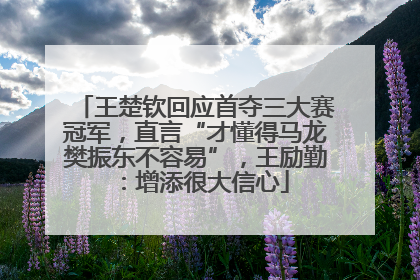 王楚钦回应首夺三大赛冠军，直言“才懂得马龙樊振东不容易”，王励勤：增添很大信心