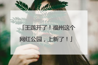王莲开了！福州这个网红公园，上新了！
