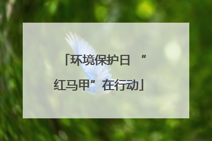 环境保护日 “红马甲”在行动