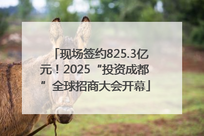 现场签约825.3亿元！2025“投资成都”全球招商大会开幕