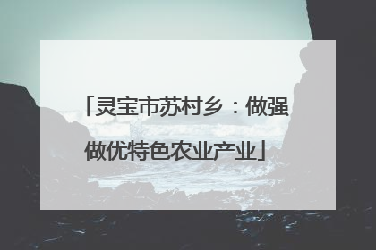 灵宝市苏村乡：做强做优特色农业产业