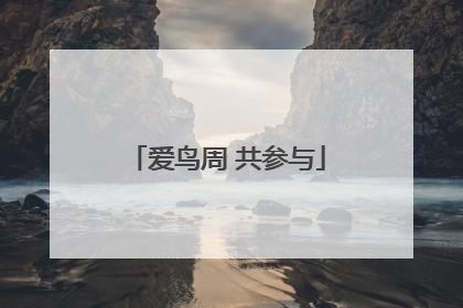 爱鸟周 共参与