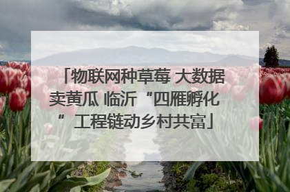物联网种草莓 大数据卖黄瓜 临沂“四雁孵化”工程链动乡村共富