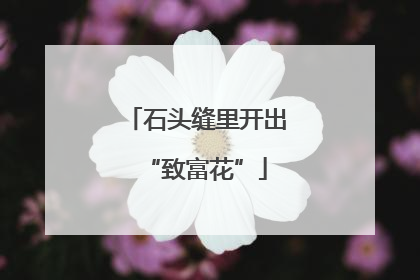 石头缝里开出“致富花”
