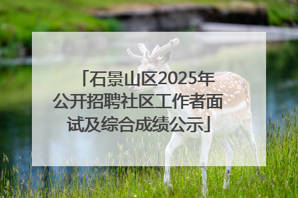 石景山区2025年公开招聘社区工作者面试及综合成绩公示