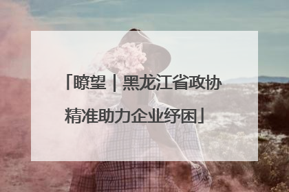 瞭望｜黑龙江省政协精准助力企业纾困